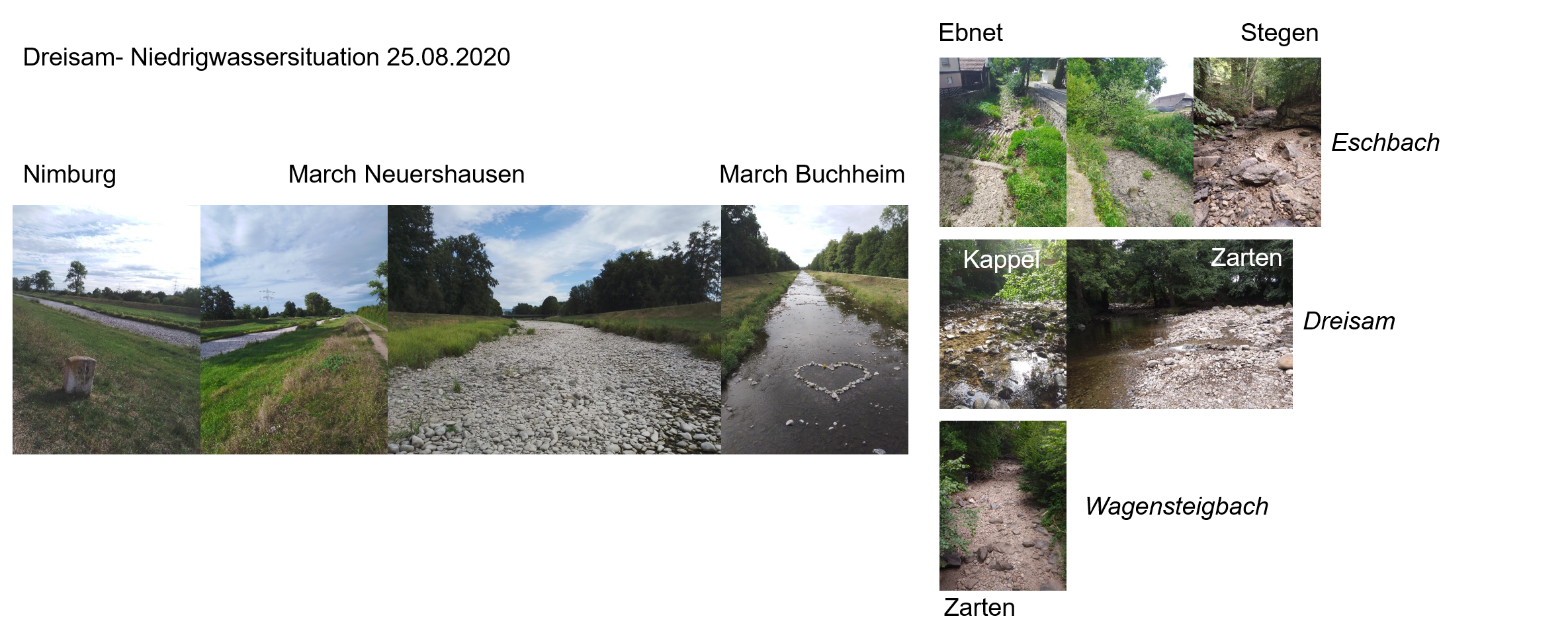 Dürresituation - Dreisam Ende August 2018
